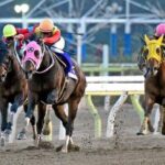 競馬ファンは平日どうして過ごしてるんや?やることなさすぎるんやが