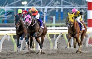 ワイ、競馬に興味あると言っていたトッモを地方競馬に誘ってしまう