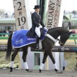 種牡馬になってはいないが産駒が見たかった馬といえば?