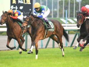 今年初のG1高松宮記念の出走予定馬
