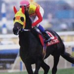 ハギノで思いついた3番目の馬