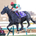 今年のクラシック予想しようや