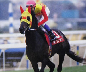 ハギノで思いついた3番目の馬