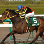ブエナビスタって史上最強牝馬じゃないの?