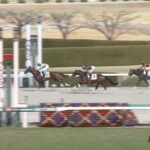 【競馬】阪神3R3歳未勝利戦 武豊騎乗のヴァンダービルトがデビューV