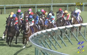 【高松宮記念】横山武史下手すぎワロタｗｗｗｗ