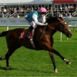 社台ってフランケル系種牡馬はグレナディアガーズでいくつもりなん?