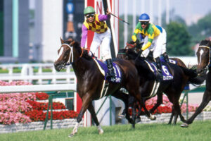 あなたのベストルッキング牝馬は？