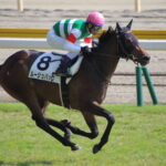 なぜG1を勝てなかったのか不思議な馬っている?