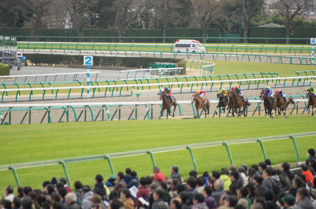 実は対戦していた馬