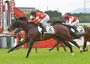 【阪神6R】1.4倍レッドベルアーム川田ｗｗｗｗｗｗ