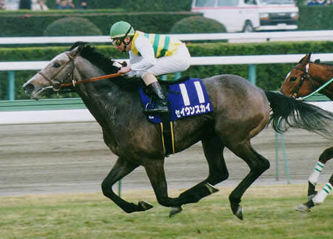 セイウンスカイ(2冠馬)↑これ