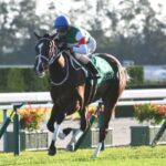 高松宮記念「メイケイエール!サリオス!レシステンシア!」