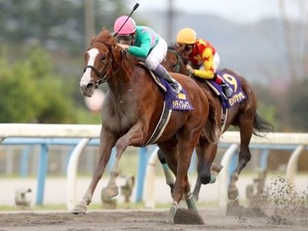 ケイティブレイブ引退、種牡馬に