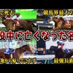 【競馬】現役で亡くなった名馬たち【ライスシャワー】【サイレンススズカ】