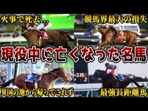 【競馬】現役で亡くなった名馬たち【ライスシャワー】【サイレンススズカ】