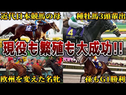 【繫殖牝馬】現役でも繁殖でも大成功をおさめた牝馬7選【エアグルーヴ】