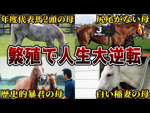 【競馬】繁殖牝馬として大成功をおさめた馬たち【8選】