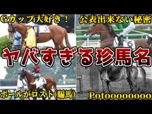 【競馬】信じられない珍馬名を持つ馬10選【スモモモモモモモモ】