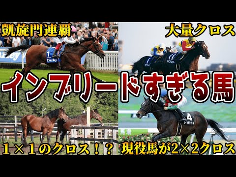 【危険】血が濃すぎるのに大活躍した名馬7選【競馬】