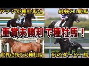 【競馬】重賞未勝利なのに種牡馬になれた奇跡の馬たち【5選】