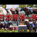 【厳選】競馬界に華麗に君臨する最強血統を解説【ソダシ】