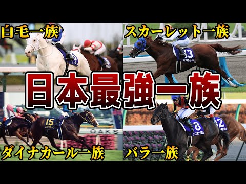 【厳選】競馬界に華麗に君臨する最強血統を解説【ソダシ】