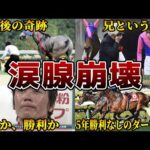 【感動】競馬史に残る涙腺崩壊エピソード6選を紹介【マカヒキ】