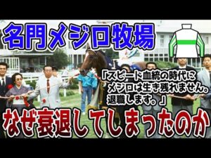 【解散】名門メジロ牧場の功績と消えた理由を解説【競馬】
