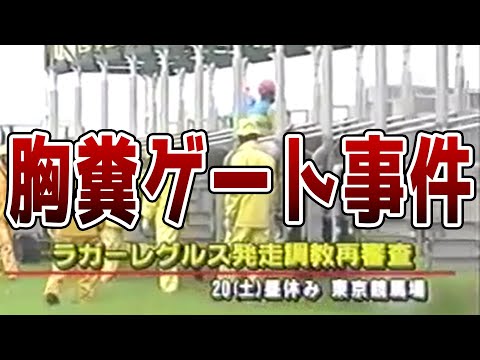 【事件】ラガーレグルスのゲート再審査で起きた悲劇が酷すぎた…【競馬】