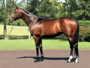 ジャスタウェイ産駒がひっそりと終わってる件