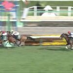 【競馬】フラワーCは川田騎乗のスタニングローズがV