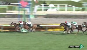 【競馬】フラワーＣは川田騎乗のスタニングローズがＶ