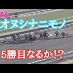 5勝目なるか!オヌシナニモノ逃げろ‼️