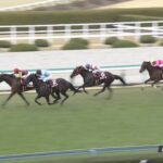 【フィリーズレビュー2022】結果・動画/サブライムアンセムが馬群をさばいて差し切る