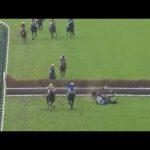人気馬が飛越失敗