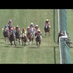 【落馬事故】先頭の川田将雅が落馬 騎手、馬の状況は…