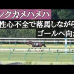 急性心不全になりながらも一頭ゴールへ向かうピンクカメハメハ