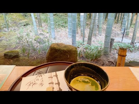【紅葉🍁】鎌倉で抹茶と干菓子を堪能してきました！