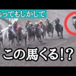 本当にすごい脚で飛んできます。
