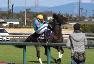 大声で返し馬で暴れたダイアトニック　叫んだのは岩田本人www