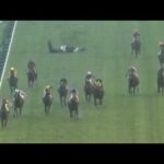 悪天候の中で落馬事故発生 ナムラメーテル号は…
