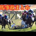 【落馬事故】毎月これだけの数落馬事故が起きています…