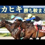 【5年ぶり勝利】愛されるダービー馬マカヒキ 勝ち鞍まとめ