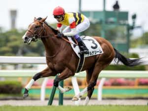 アルナシームとはなんだったのか