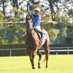 福永「ゴールドアリュール産駒が勝ったという事。そこに尽きる」