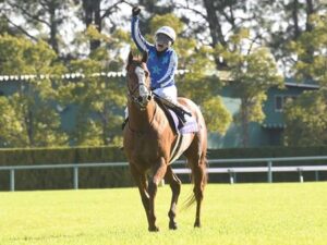 福永「ゴールドアリュール産駒が勝ったという事。そこに尽きる」