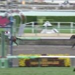 【競馬】マーチSは浜中騎乗のメイショウハリオがV