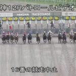 今村聖奈が阪神12Rで落馬