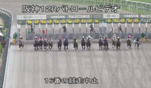 今村聖奈が阪神12Ｒで落馬